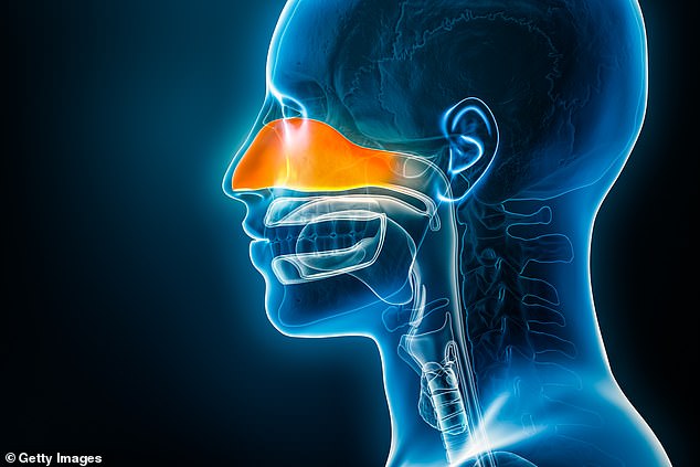 From Nasal Blockage to Anosmia: The Life-Altering Impact on a Family