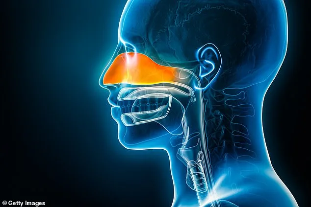 From Nasal Blockage to Anosmia: The Life-Altering Impact on a Family