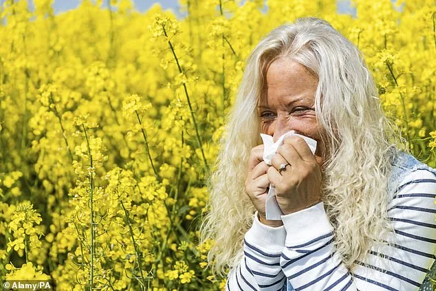 Early Antihistamine Use Key for Hay Fever Sufferers in 2026