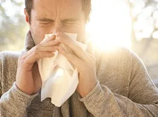 Early Antihistamine Use Key for Hay Fever Sufferers in 2026