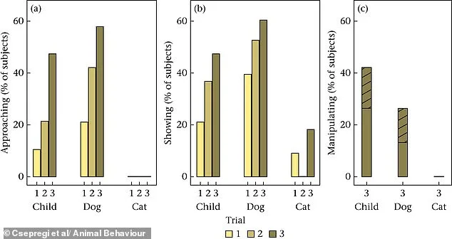 Study Challenges Assumptions: Domestic Cats Are More Self-Reliant Than Previously Believed