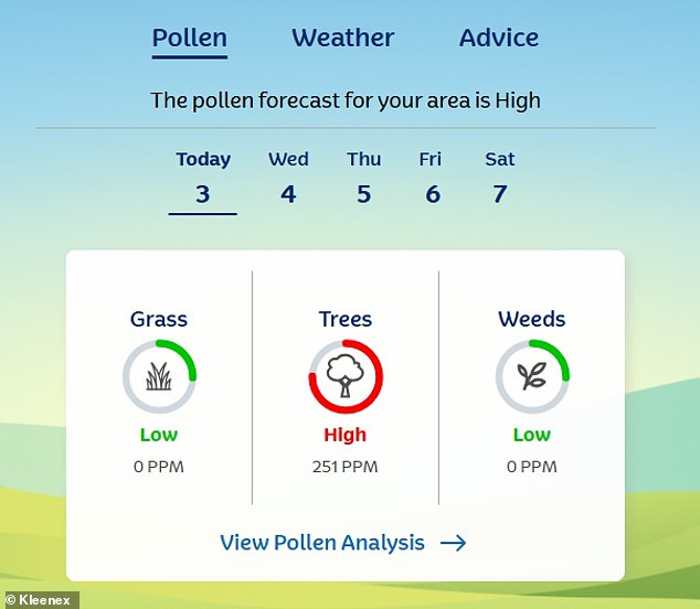 UK's Sunny Respite Triggers Hay Fever 'Pollen Bomb' as Allergy Sufferers Face Agony