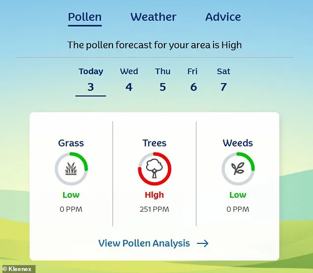UK's Sunny Respite Triggers Hay Fever 'Pollen Bomb' as Allergy Sufferers Face Agony