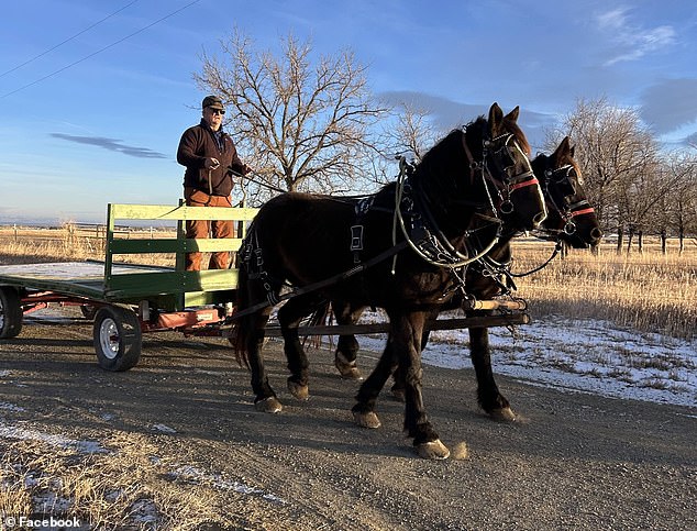 McDonald's Welcomes Back Wyoming Farmer After Drive-Thru Ban Over Horse-Drawn Wagon