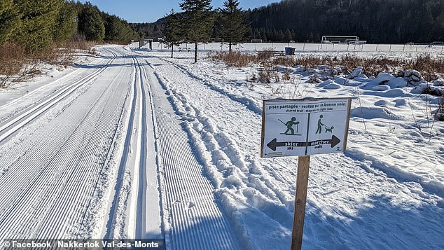 Tragic Sledding Accident in Ontario Claims Life of Four-Year-Old Girl