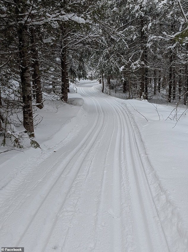 Tragic Sledding Accident in Ontario Claims Life of Four-Year-Old Girl