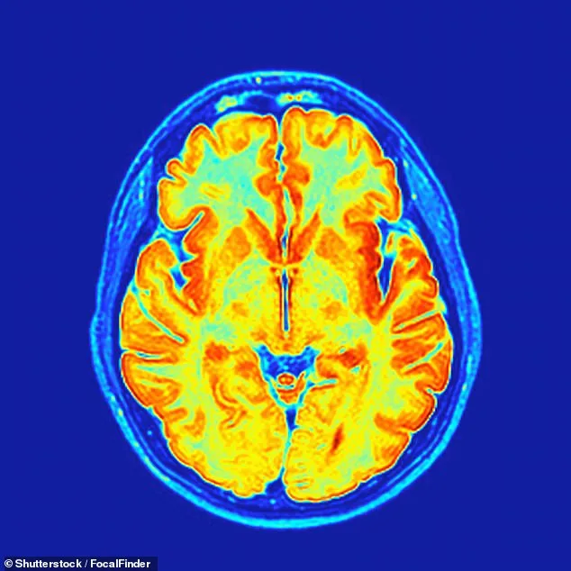 Groundbreaking Study Reveals 'Baby Brain' Is a Real Structural Brain Change Preparing for Parenthood