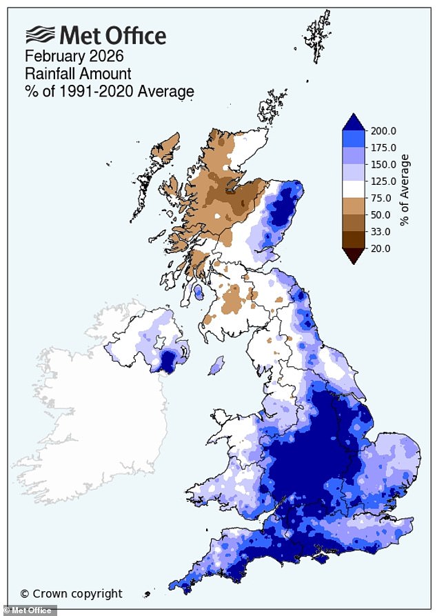 Britain's Gardens at Risk of Repeat Slugageddon After Wet Winter of 2026