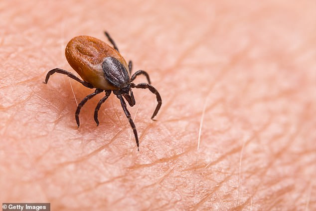 Dr. Robert Malone Claims Lyme Disease Linked to CIA Bioweapon Experiments