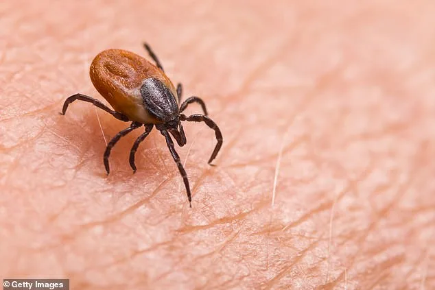 Dr. Robert Malone Claims Lyme Disease Linked to CIA Bioweapon Experiments