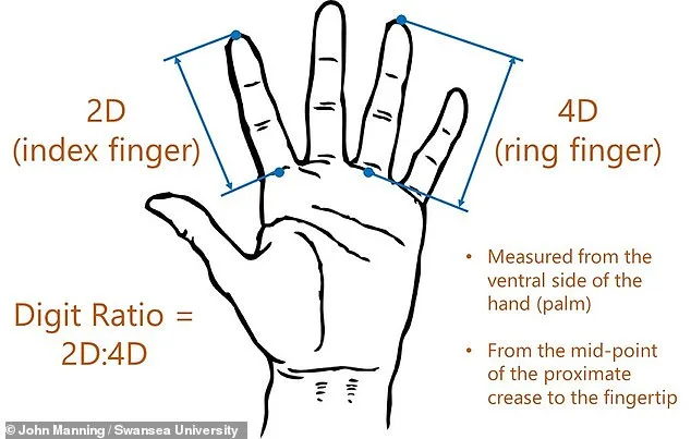Finger Length Ratio May Signal Sexual Orientation, Study Suggests