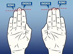 Finger Length Ratio May Signal Sexual Orientation, Study Suggests