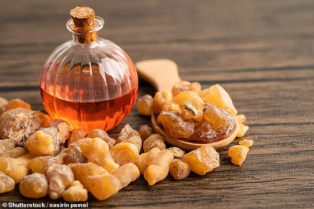 Boswellia Serrata: From Ancient Remedy to Modern Medicine's New Hope?