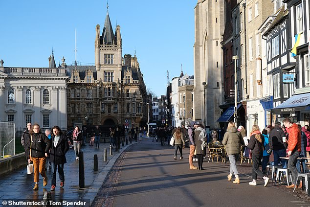 Walkable Cities May Enhance Cognitive Resilience and Shield Brains from Dementia