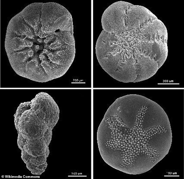 Climate Change Accelerates Earth's Rotational Slowdown, Lengthening Days by 1.33 Milliseconds Per Century