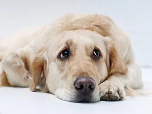 Seven Subtypes of Hyperarousal Discovered, Reshaping Mental Health Diagnoses and Treatments