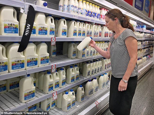 Full Fat Milk Makes Comeback as British Consumers Embrace Richer Dairy Options