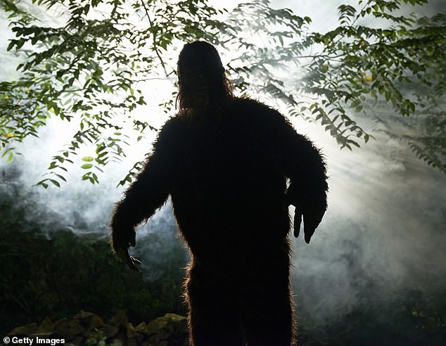 Ohio Bigfoot 'Flap': Eight Sightings in Four Days Spark Debate