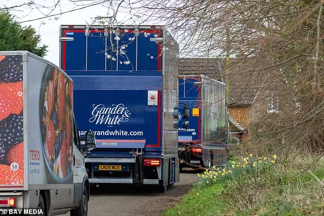 Andrew Mountbatten-Windsor's Art-Laden Move: Security Measures Signal New Chapter at Marsh Farm