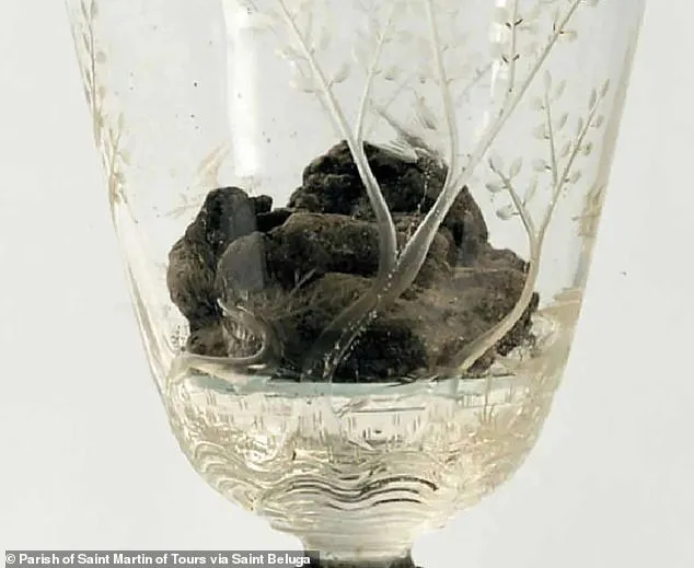 Centuries-Old Eucharist Mysteries Reignite Faith-Science Debate