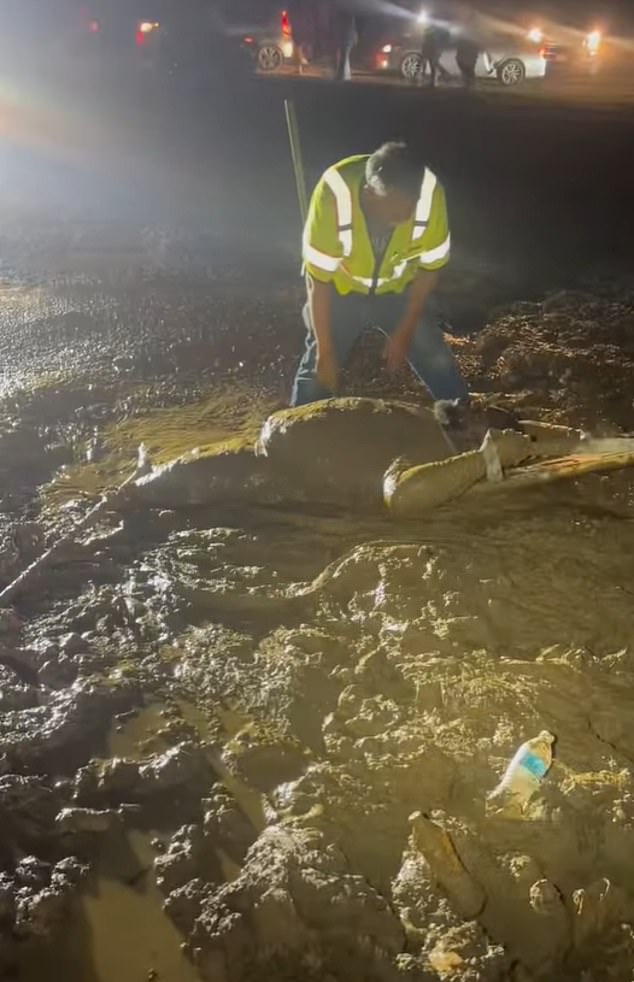Mississippi Man Trapped in Quicksand-Like Mud During Outdoor Event