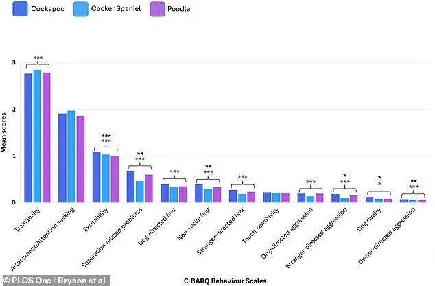 Cockapoos: 44% Higher Behavioral Issues Despite Celebrity Popularity