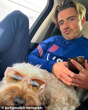 Cockapoos: 44% Higher Behavioral Issues Despite Celebrity Popularity