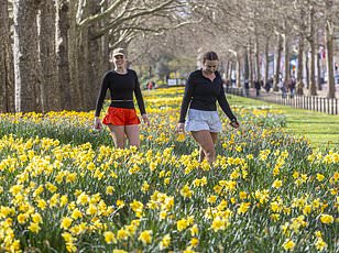 The Real Meaning Behind Your Weather App's '30% Chance of Rain