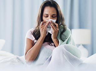 Seaweed Compounds Mimic Sugars to Block Norovirus Infection, Study Finds