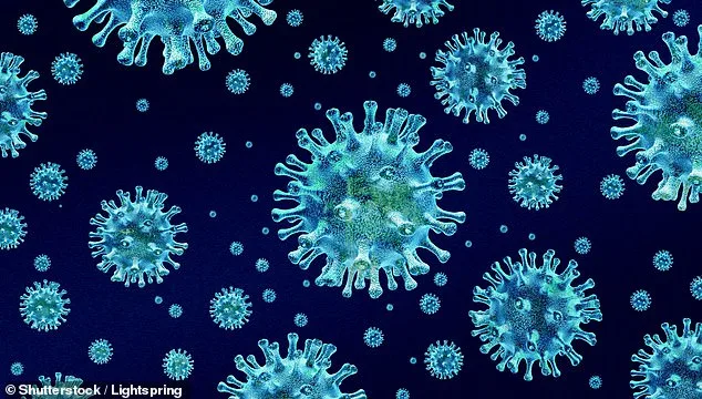 Seaweed Compounds Mimic Sugars to Block Norovirus Infection, Study Finds