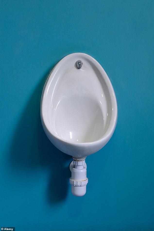 Men's Health Experts Sound Alarm Over Skipping Toilet Paper After Urination, Linking Habit to Infections and Cancer Risk