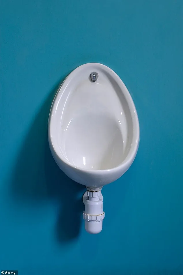 Men's Health Experts Sound Alarm Over Skipping Toilet Paper After Urination, Linking Habit to Infections and Cancer Risk