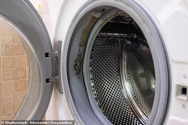 The Hidden Mold Crisis in Your Washing Machine: Why Leaving the Door Closed Could Endanger Your Health