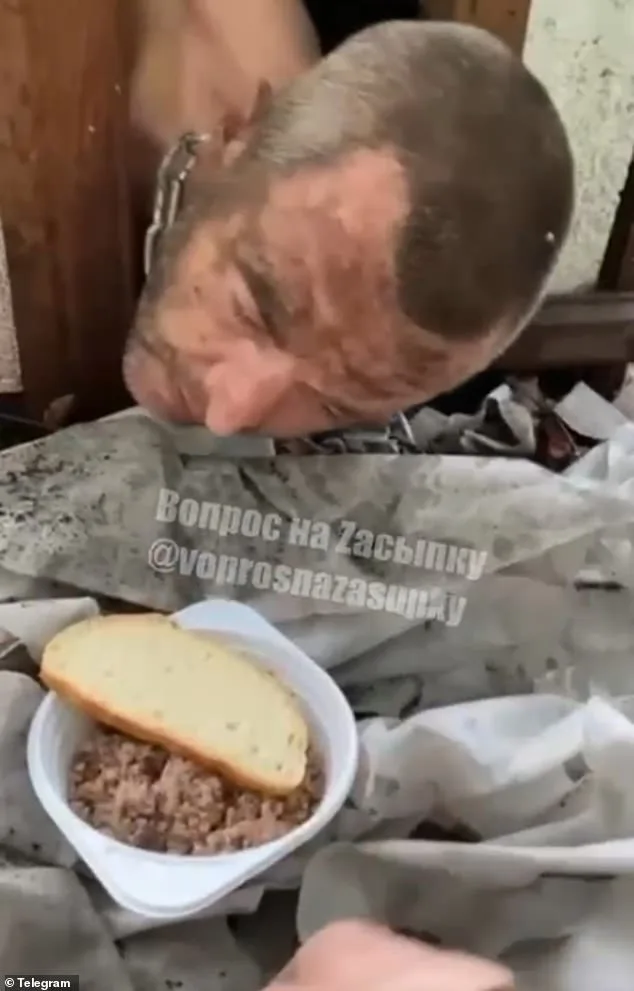 Harrowing Footage Reveals Brutal Treatment of Russian Soldiers on Ukraine Frontlines