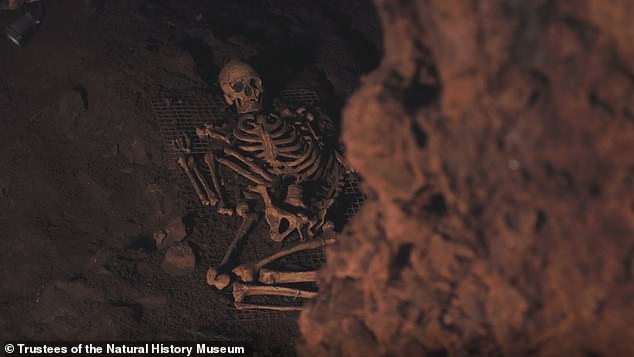 Rewriting History: 14,000-Year-Old Dog Jawbone in Somerset Reveals Earliest UK Evidence of Human-Canine Bond