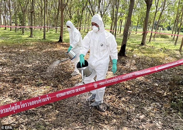 Deadly Anthrax Bacteria Found in Soil Across 43 U.S. States: Hidden Threat Lurks in Pastures and Burial Sites