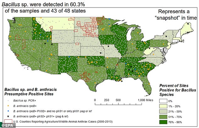 Deadly Anthrax Bacteria Found in Soil Across 43 U.S. States: Hidden Threat Lurks in Pastures and Burial Sites