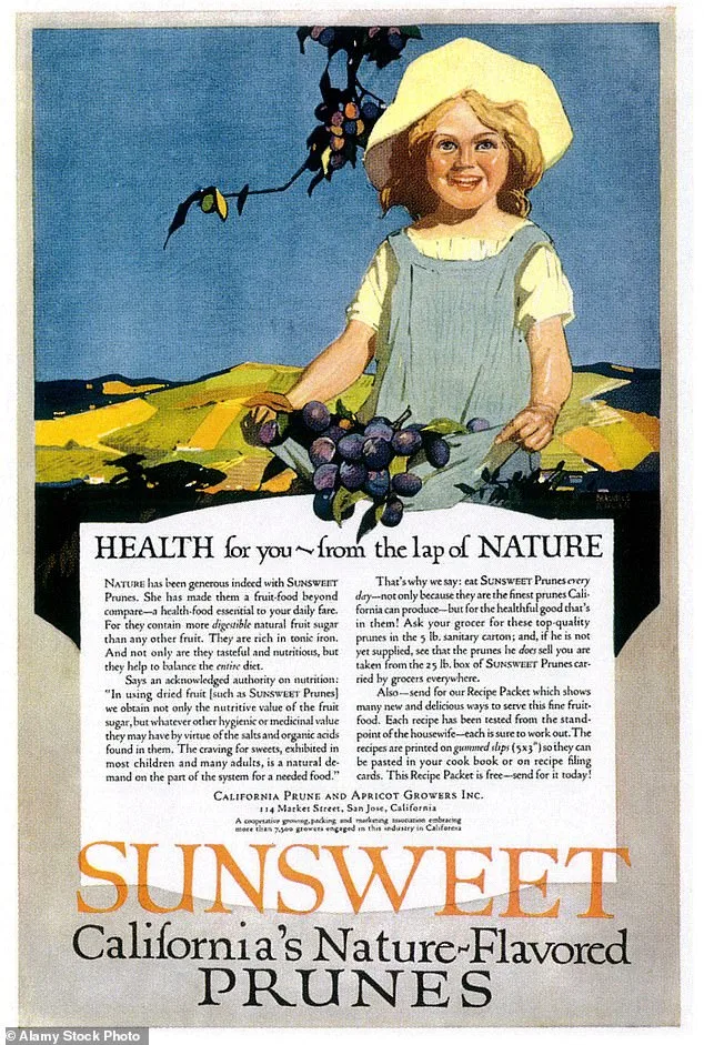 Prunes: Beyond Constipation, A Nutrient-Packed Superfood Overlooked by Many