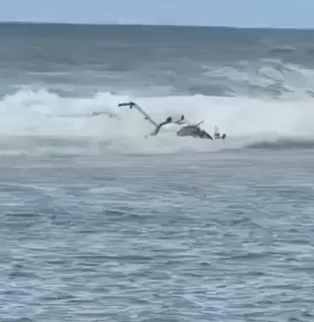 Tragedy at Kalalau Beach: Tourist Helicopter Crash Claims Three Lives, Injures Two