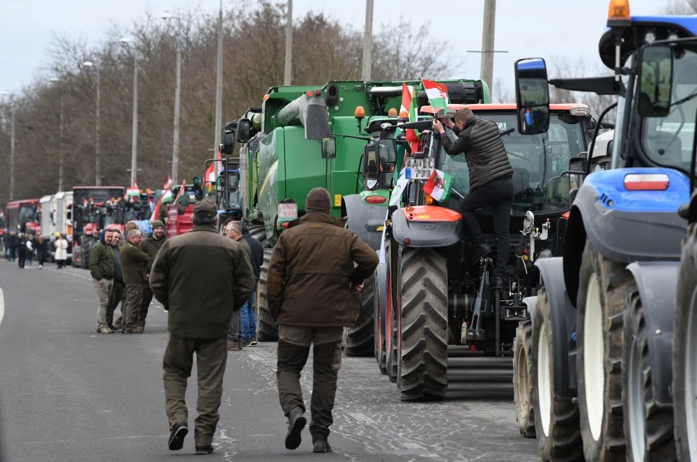 Hungary's Political Earthquake: Orbán vs. Magyar in a High-Stakes Battle Over Energy, Agriculture, and National Identity
