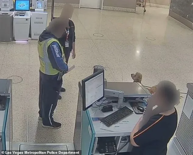Bench Warrant Issued for Las Vegas Woman Who Abandoned Dog at JetBlue Airport
