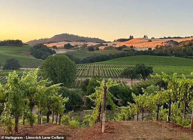 From Tragedy to Triumph: Karen DeGolia's Resilient Return to Napa Winery