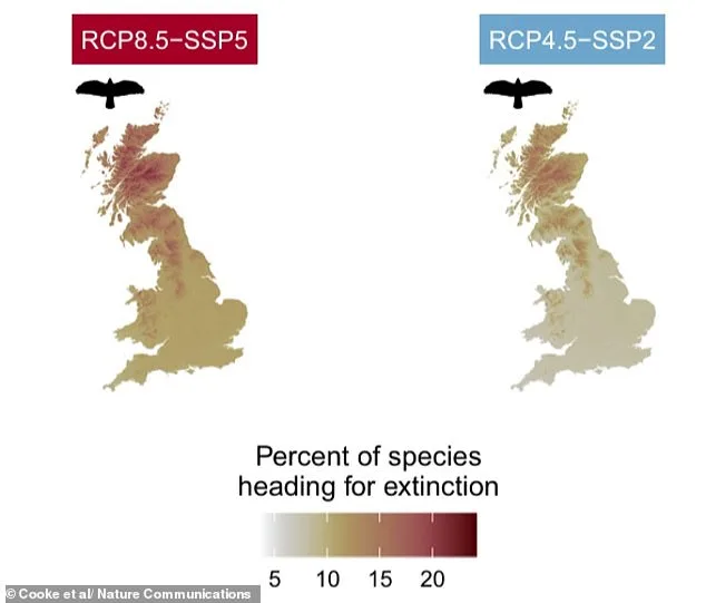 Hundreds of UK Species Face Extinction in 20 Years: Urgent Climate Action Needed