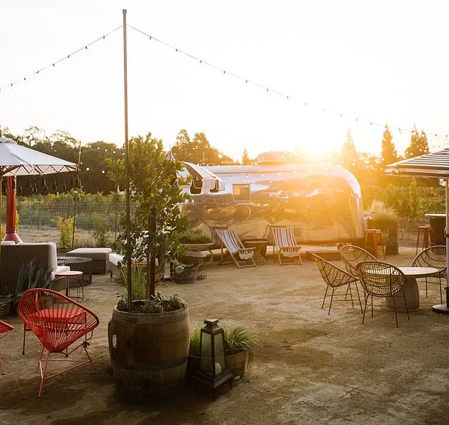 Napa Valley Winery Faces $4M Fine in Legal Clash Over Tradition vs. Regulation