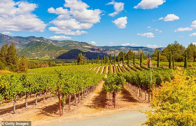 Napa Valley Winery Faces $4M Fine in Legal Clash Over Tradition vs. Regulation