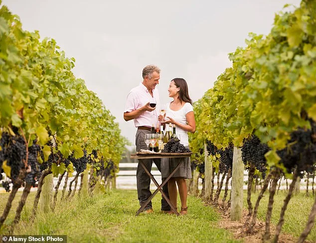 Napa Valley Winery Faces $4M Fine in Legal Clash Over Tradition vs. Regulation