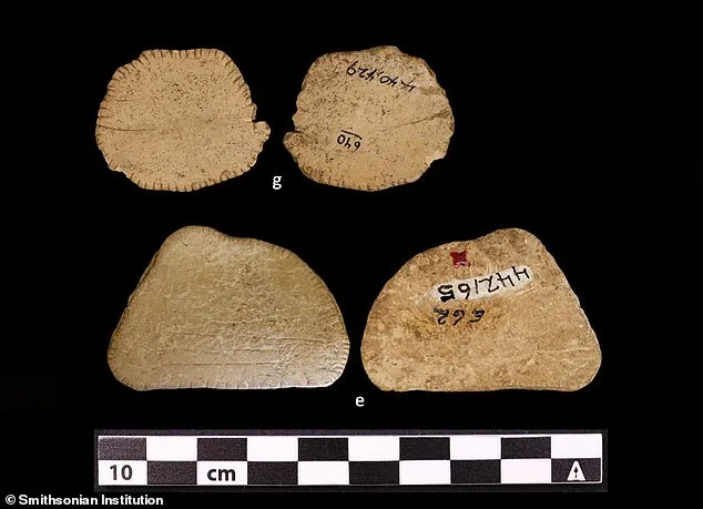 Ancient Dice Unearthed in North America Push Back Human Gambling Timeline by 12,000 Years