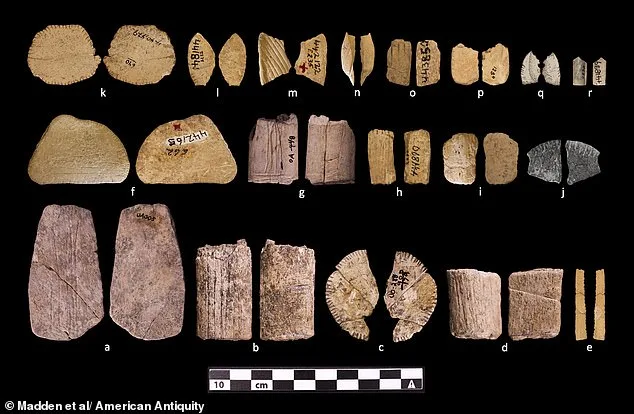 Ancient Dice Unearthed in North America Push Back Human Gambling Timeline by 12,000 Years