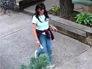 U.S. Lawmakers Set 2026 Deadline for Classified UFO Videos Amid National Security Threat