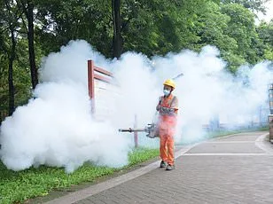 From Paradise to Peril: A Family's Journey from Tropical Bliss to Medical Mystery